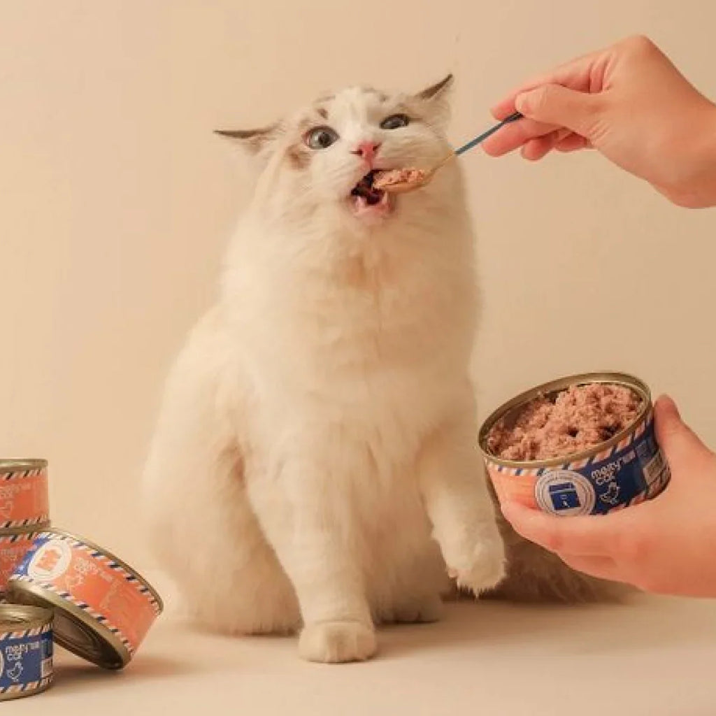 Homemade Treats Your Pet Will Love