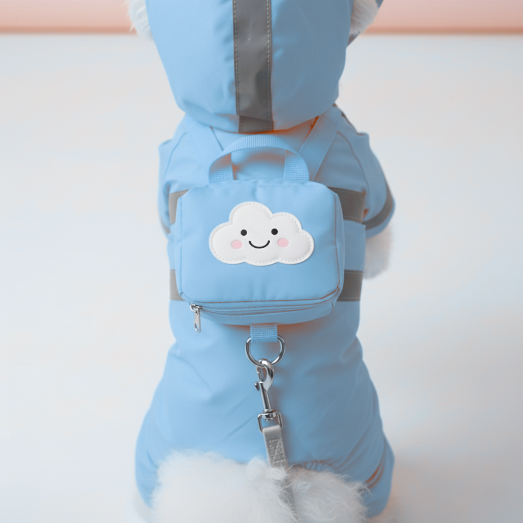 Transparent Thickened Waterproof Dog Raincoat