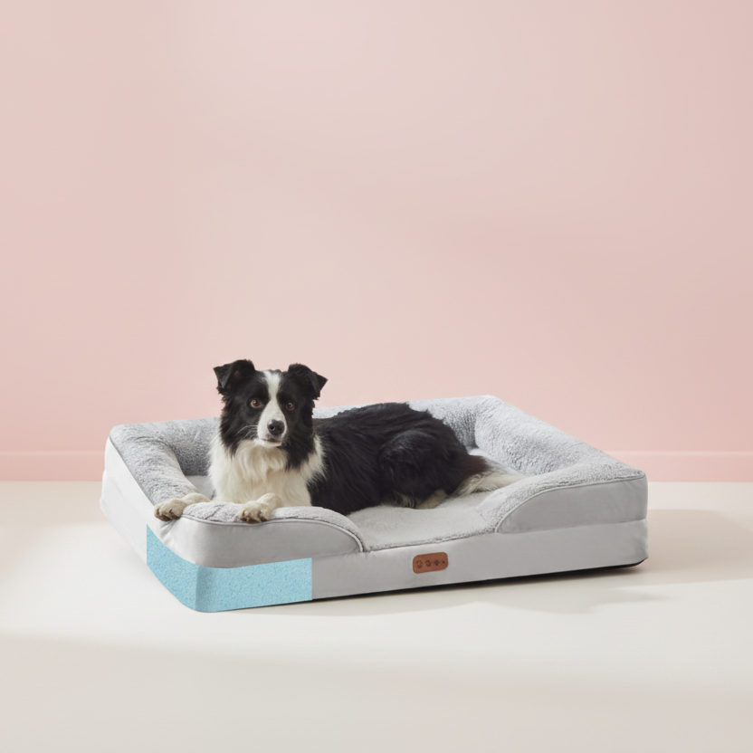 Pet Rectangle Bed