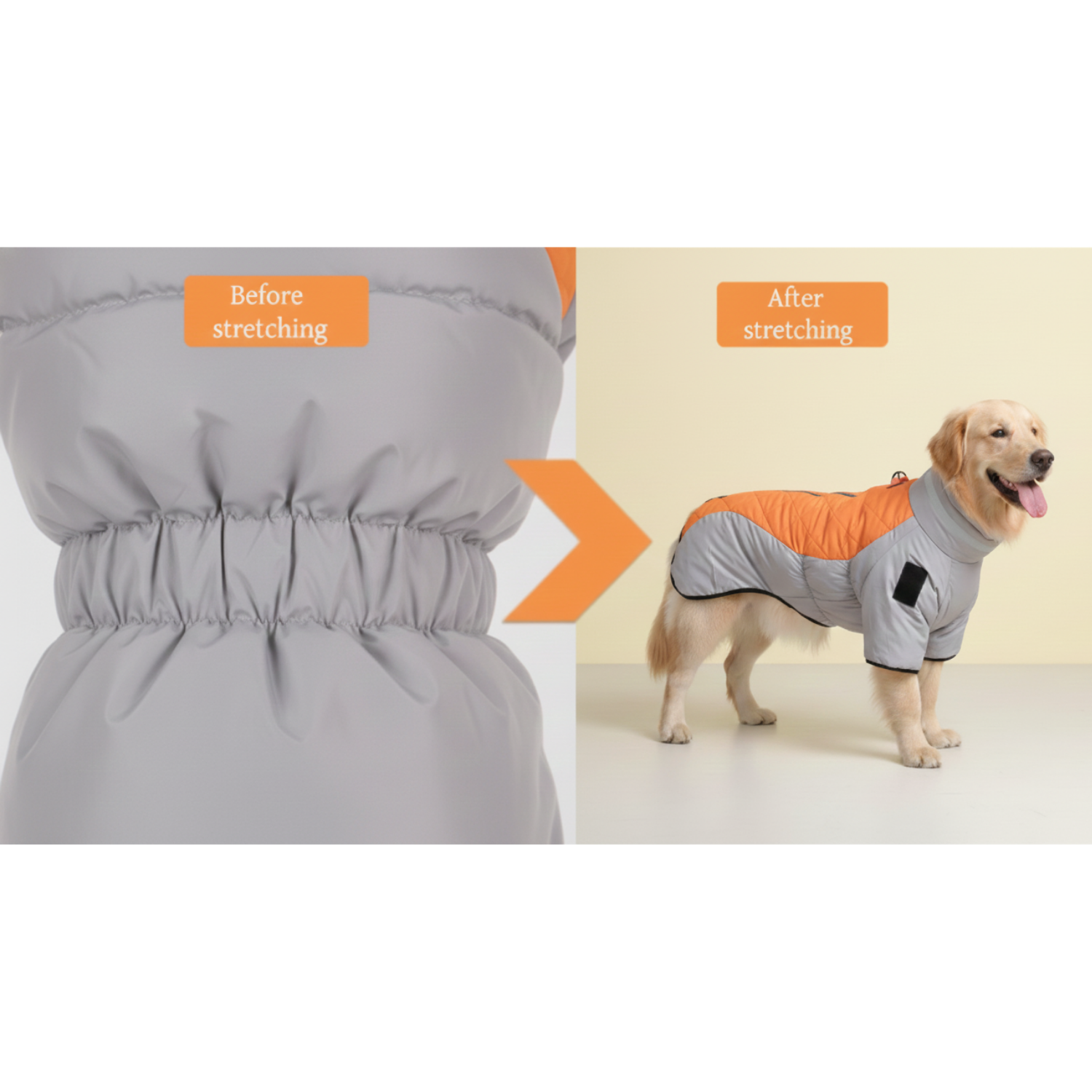 Waterproof Autumn & Winter Pet Warm Cotton-Padded Coat